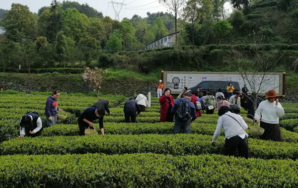 1616747696264033778.jpg 004.jpg