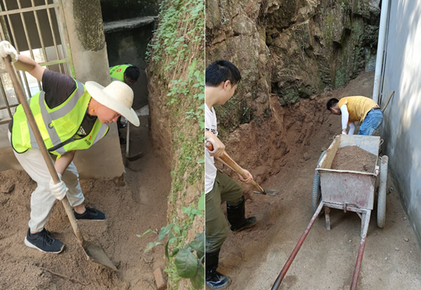 1627460736911059569.jpg 006.jpg