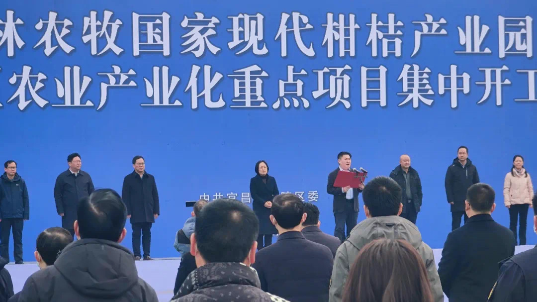 1650855686219082174.png 圖片2.png