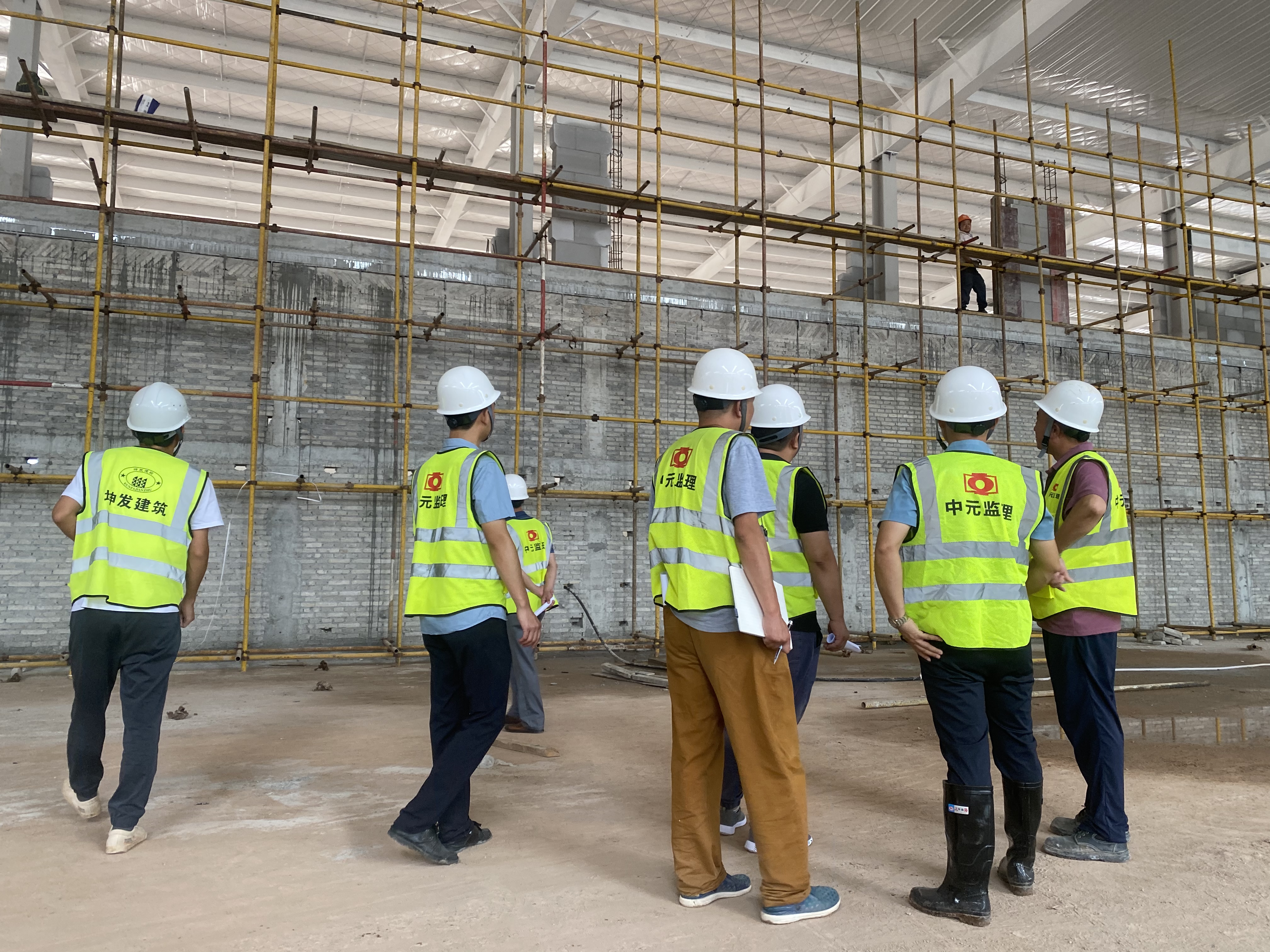 1658977912249033750.jpg 3.jpg